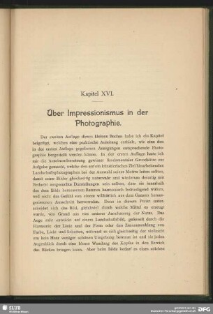XVI. Kapitel: Über Impressionismus in der Photographie