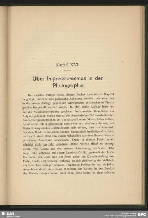 XVI. Kapitel: Über Impressionismus in der Photographie