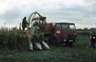 Fotografie: Ernteverfahren, Silomais, Maishäcksler selbstfahrend, Parallelverfahren, LKW