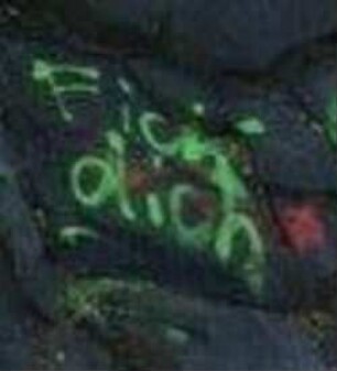 Fick dich