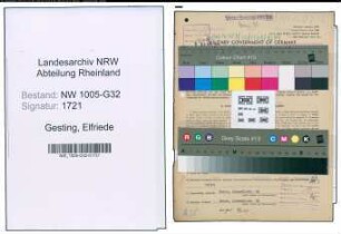 Entnazifizierung Elfriede Gesting , geb. 13.10.1901 (Verw.Angestellte)
