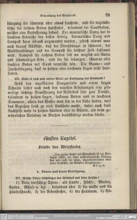 Fünftes Kapitel. Feinde des Weinstocks