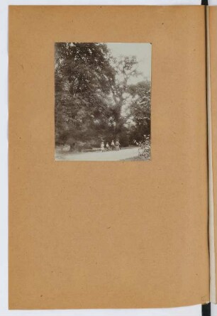 Waldweg: Ansicht (aus: Skizzen- und Fotoalbum 29)