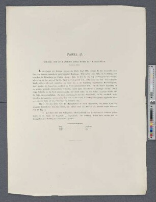 Tafel 23. Vorder- und Rückansicht einer Mumie mit Webgeräth.