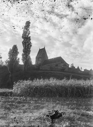 Abends vor Panitzsch : Panitzsch. Blick über Getreidefeld zu Kirche