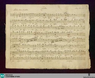 Masses - Don Mus.Ms. 1111 : V (4), orch, org; C; SheHa deest Hob deest