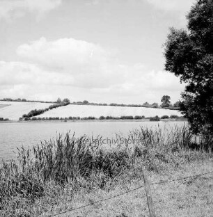 Moorteich mit Schilfsaum: rechts Baum: im Hintergrund Knicklandschaft