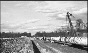 Niederlauterbach: Pipeline-Verlegung im Bienwald bei Niederlauterbach nach Karlsruhe