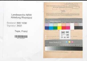 Entnazifizierung Franz Tepe , geb. 19.03.1909 (Beamter)