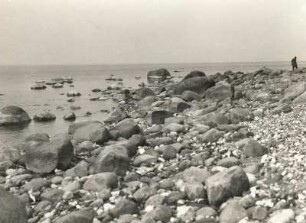 Ostsee, Hiddensee, ausgewaschene und ausgespülte Felsblöcke am Strand