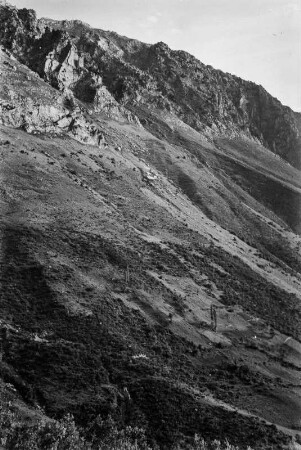 Terrassenfeld : Blick auf einen steilen Berghang