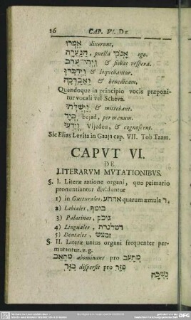 Caput VI. De Literarum Mutationibus