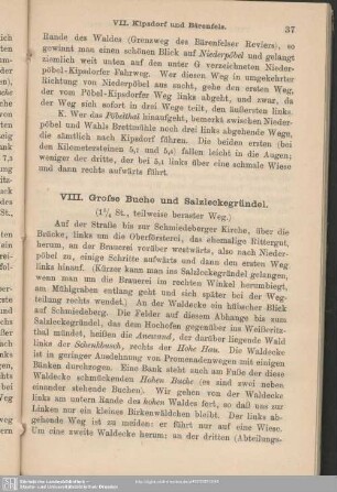 VIII. Grosse Buche und Salzleckegründel
