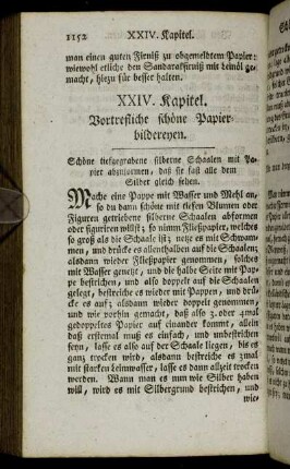 XXIV. Kapitel. Vortrefliche schöne Papierbildereyen.