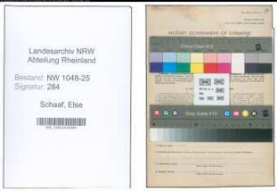 Entnazifizierung Else Schaaf , geb. 02.01.1907 (Kauffrau)