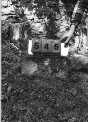Grabstein 545 (Index: 99789122) Material: Sandstein Zustand: Fragment Besonderheit: Kindergrab: Grabstein 545