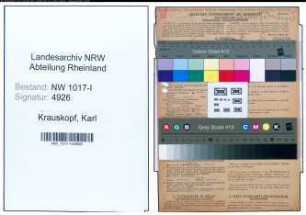 Entnazifizierung Karl Krauskopf , geb. 04.08.1903 (Kaufmaennische Angestellte)