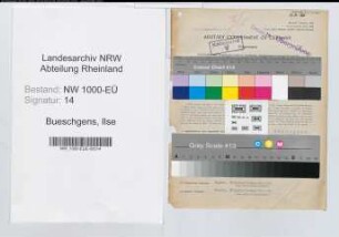 Entnazifizierung Ilse Bueschgens, geb. 19.06.1914 (Angestellte)