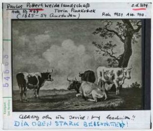 Paulus Potter: Weidelandschaft (Aufnahme stark beschnitten). Turin, Pinakothek