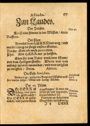 Zun Laudes.