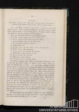 13) Rübe.