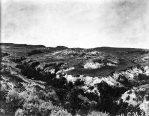 Badlands : Aussicht auf ein kleines bewaldetes Seitental der Badlands in North Dakota.