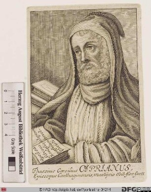 Bildnis hl. Thascius Caecilius Cyprianus