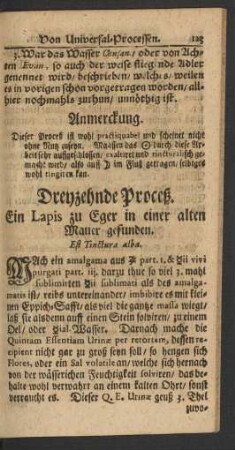 Dreyzehnde Proceß
