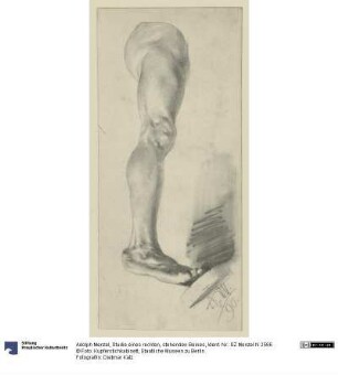 Studie eines rechten, stehenden Beines
