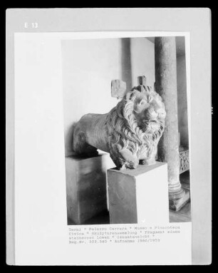 Fragment eines steinernen Löwen