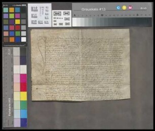 Elsheim: Instrumentum juramenti plebani in Elsheim