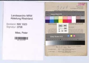 Entnazifizierung Peter Mies , geb. 08.07.1890 (Zollsekretaer)