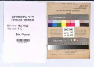 Entnazifizierung Werner Trix , geb. 16.10.1906 (Maler)