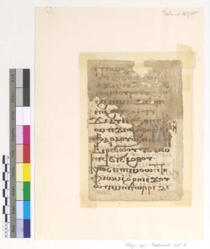 [Psalmodia] : Fragm. copt. Pischoi Psalmod. 49