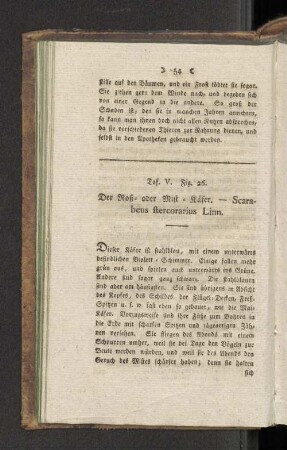 Taf. V. Fig. 26. Dee Roß- oder Mist-= Käfer. - Scarabeus stercorarius Linn.