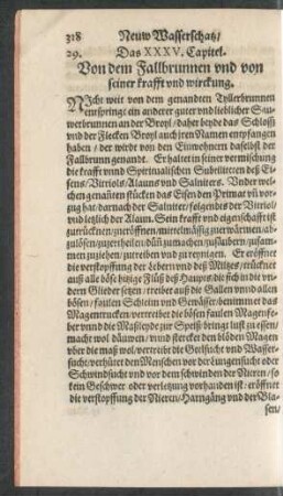 Das XXXV. Capitel.