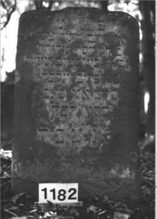 Grabstein 1182 (Index: 99899923) Material: Sandstein Zustand: verwittert Maße HxBxT: 62x64x6 cm Beschreibung: Stele mit flachem Schulterbogenabschluss, im Bogenfeld Blüte Symbolik: Blüte: Grabstein 1182