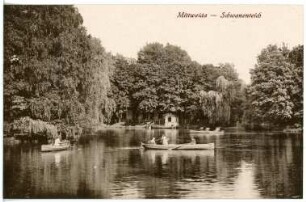 Mittweida. Schwanenteich mit Ruderkähnen