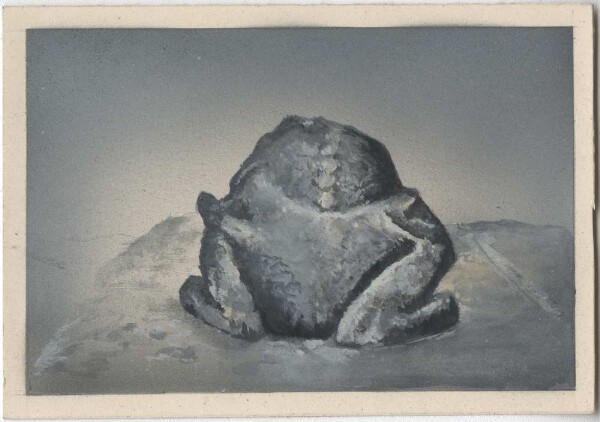 Ink drawing of a stone toad from the "Baño de la Reina".