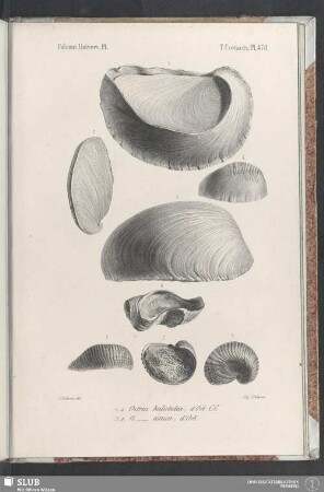 Pl. 478