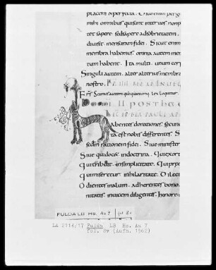 Epistolar — Initiale H, in Gestalt eines Tiers mit Krallen, Folio 8verso