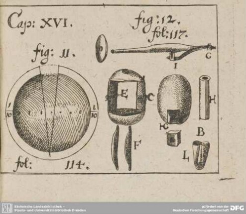 Cap: XVI. fig: 11. fol: 114. fig: 12. fol: 117.
