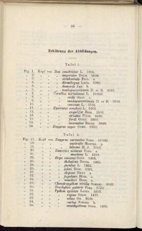 Erklärung der Abbildungen