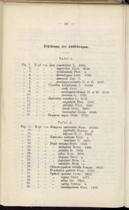 Erklärung der Abbildungen