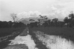 Überschwemmte Straße zwischen Hale und Korogwe : Landschaft mit einer Überschwemmten Straße. Im Hintergrund Berge