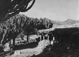 Hütte : Hütte in einer Siedlung