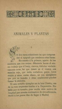 Animales y plantas