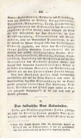 II. Das fuldaische Amt Salmünster.