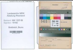 Entnazifizierung Bruno Brettreich , geb. 09.10.1883 (Lehrer)