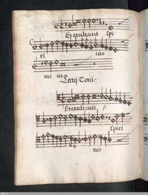 [Antoine de Févin] : [Magnificat] Tertii Toni
